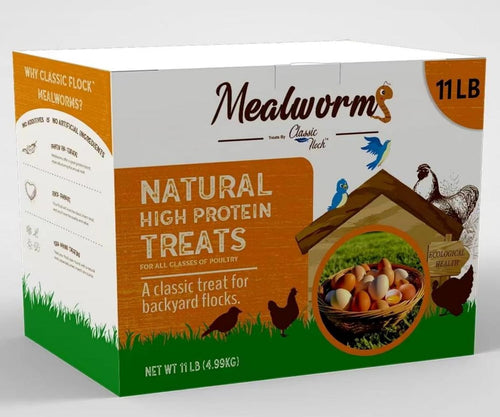 Classic Flock 11 lb dried mealworms high-protein chicken and wild bird feed